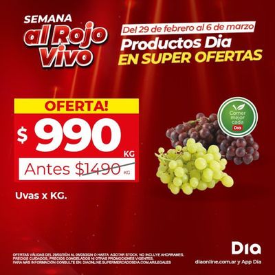 Catálogo Supermercados DIA en Lomas de Zamora | Ofertas de la Semana DIA | 29/2/2024 - 6/3/2024