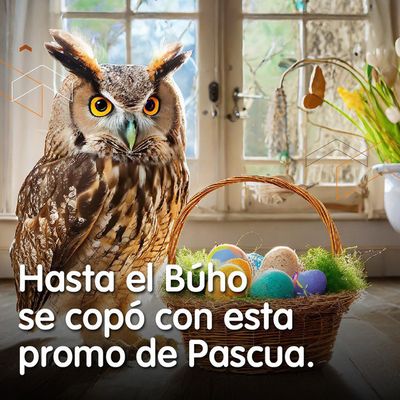 Ofertas de Hiper-Supermercados en Miramar (Buenos Aires) | Promo de Pascua 30% off de Havanna | 27/3/2024 - 30/3/2024