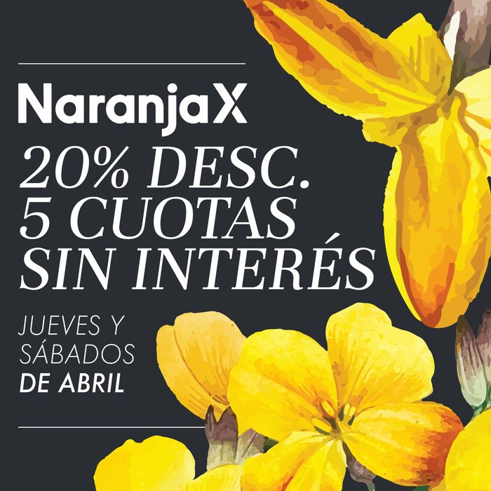 Catálogo Soy Lola en Quilmes | Promos Bancarias Abril - Hasta 20% off | 12/4/2024 - 27/4/2024