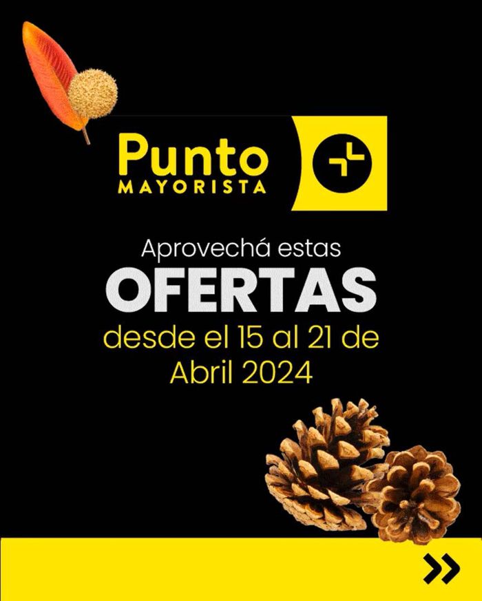 Catálogo Punto Mayorista en Quilmes | Ofertas Punto Mayorista | 15/4/2024 - 21/4/2024