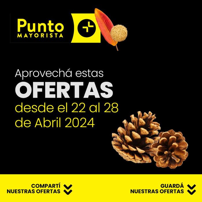 Catálogo Punto Mayorista en Quilmes | Ofertas Punto Mayorista | 24/4/2024 - 28/4/2024