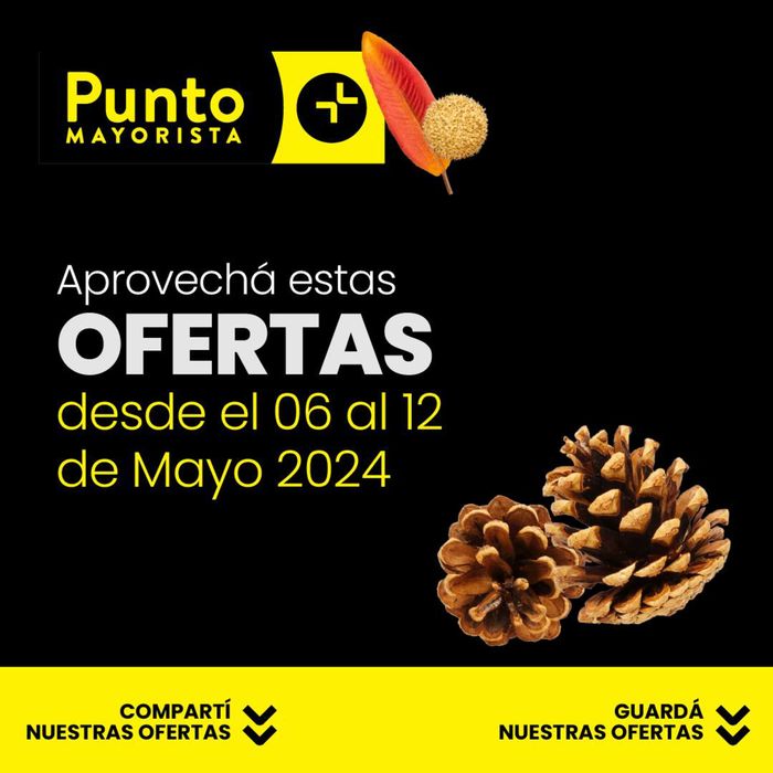 Catálogo Punto Mayorista en Quilmes | Ofertas Punto Mayorista | 8/5/2024 - 12/5/2024