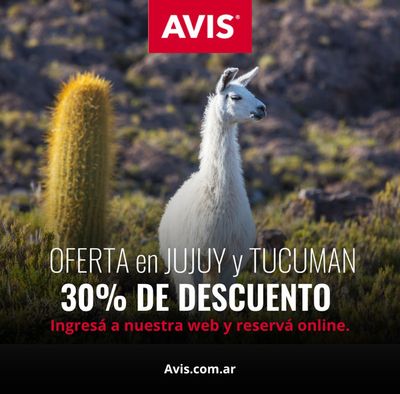 Ofertas de Autos, Motos y Repuestos en Bahía Blanca | Oferta en Jujuy y Tucumán 30% de descuento de Avis | 5/8/2024 - 31/12/2024