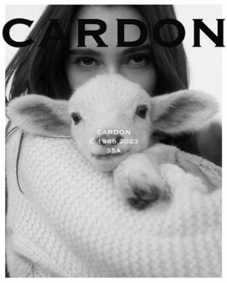 Catálogo Cardon | New Arrivals | 20/4/2023 - 28/9/2023