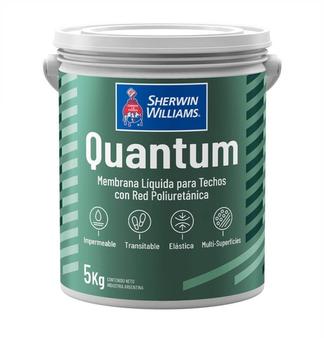 Oferta de Quantum Membrana Liquida C/Pu Sherwin Williams por $25431,25 en Pintecord