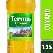 Oferta de Amargo cuyano terma 1350 ml por $1747 en Supermercados La Reina