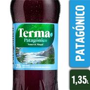 Oferta de Amargo patagonico terma 1350 ml por $1747 en Supermercados La Reina