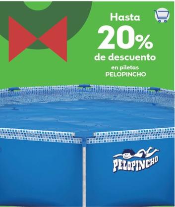 Oferta de Piletas en Coppel