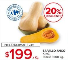 Oferta de Zapallo Anco por $199 en Carrefour Maxi